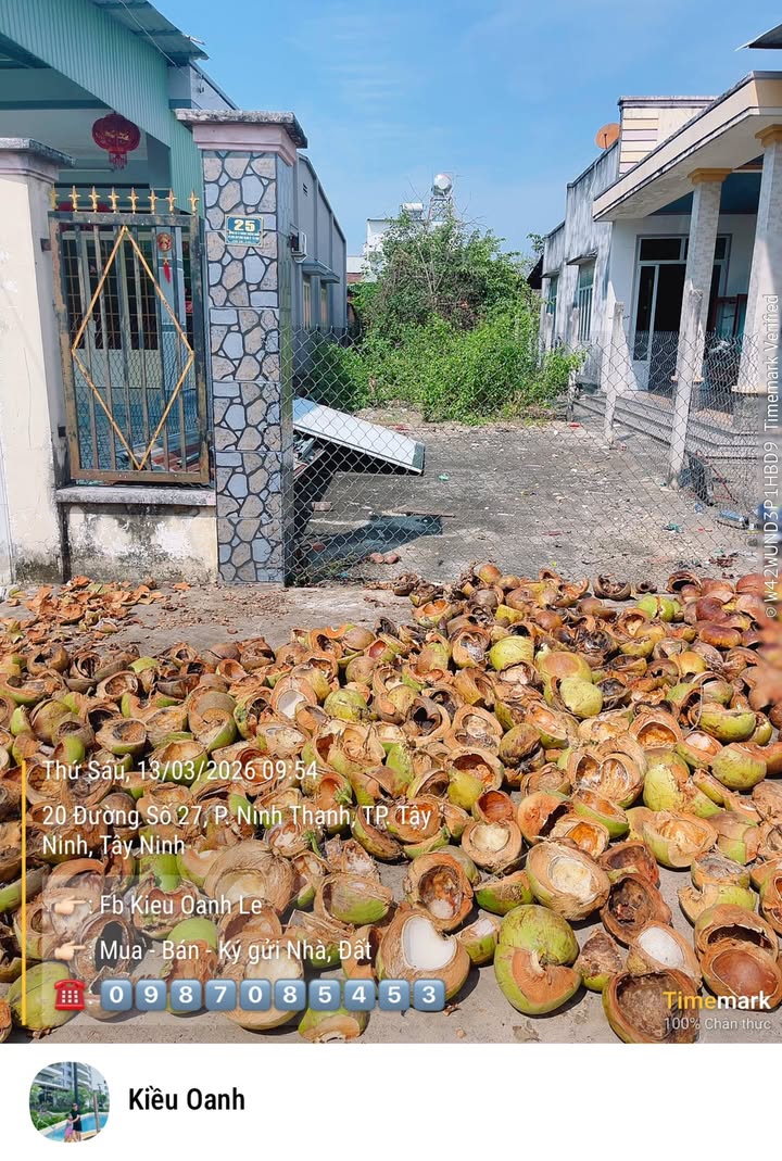 Đất Ninh Lợi, Châu Thành, Tây Ninh - 135m² Thổ cư, Sổ hồng sẵn, 11.5 Tỷ