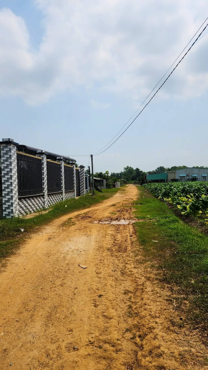 Đất Vườn 218m² Mặt Tiền Đường Đỏ Bến Cầu, Tây Ninh - Giá Tốt