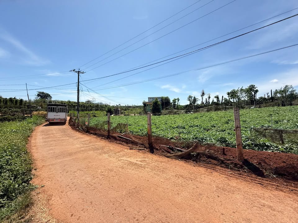 Đất nền Tân Hội Củ Chi 258m² giá chỉ 750 triệu - Đầu tư sinh lời ngay!