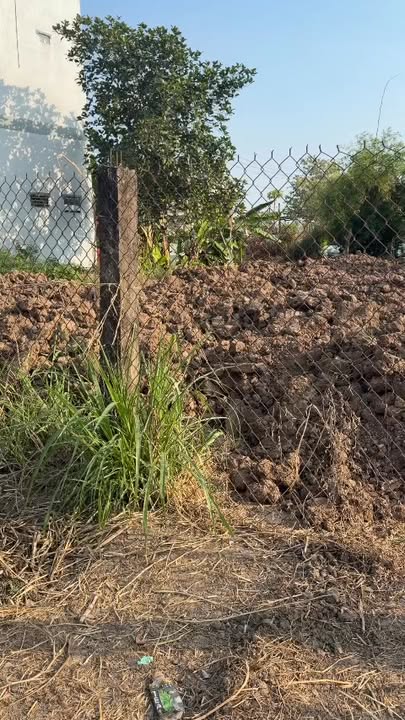 Đất Vàng 360m² Mặt Tiền Tỉnh Lộ 871, Tân Đông, Tiền Giang - Kinh Doanh Đắc Lợi