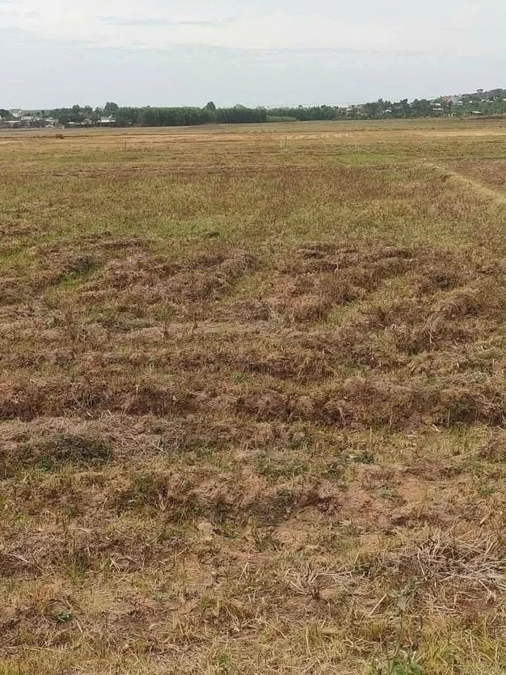 Đất nông nghiệp Xã Bình Giã 504m² giá 290 triệu - Sổ riêng chính chủ, chuyển nhượng ngay!