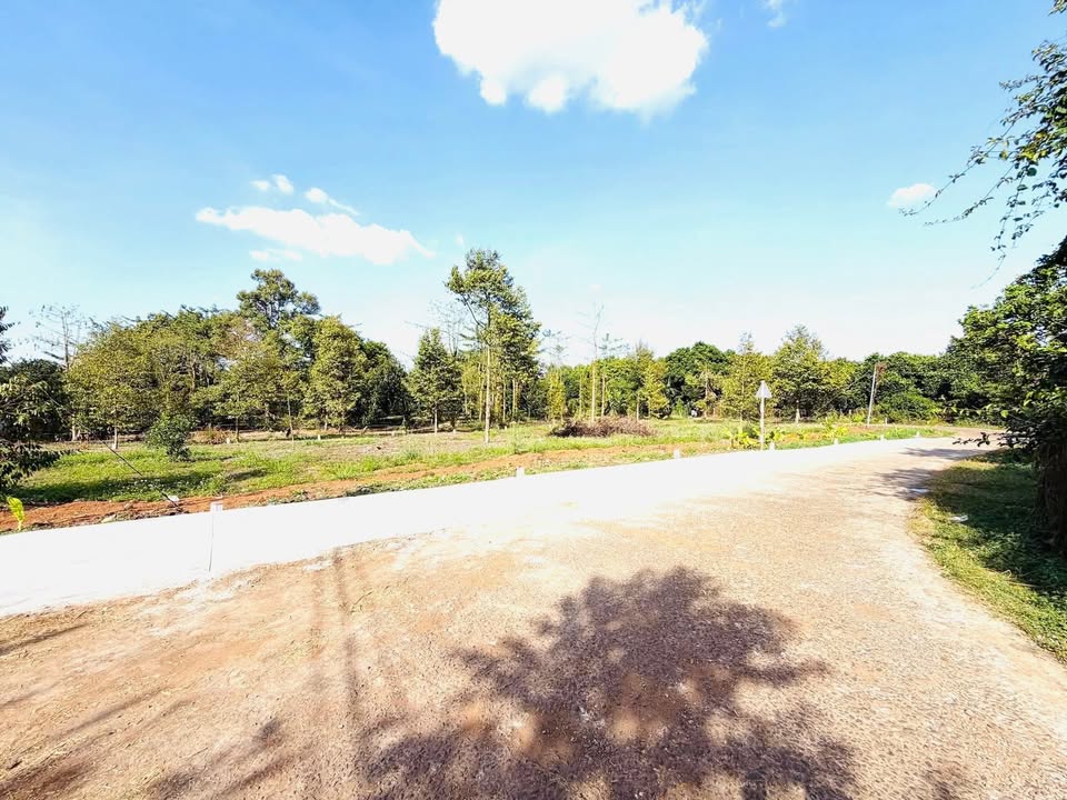 Bán đất Bình Lộc Long Khánh - 250m² sổ riêng thổ cư, mặt tiền nhựa 700 triệu