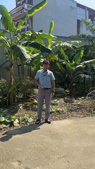 Đất Lô Góc 160m² Trục 295b, Việt Yên - Chỉ Từ 2.8 Tỷ