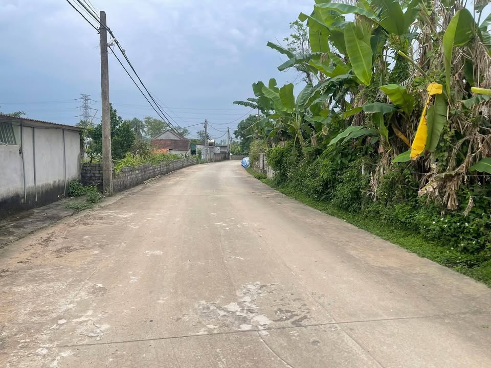 Đất nền Nghi Văn, Nghệ An - 150m² - Chỉ từ 700 triệu/lô