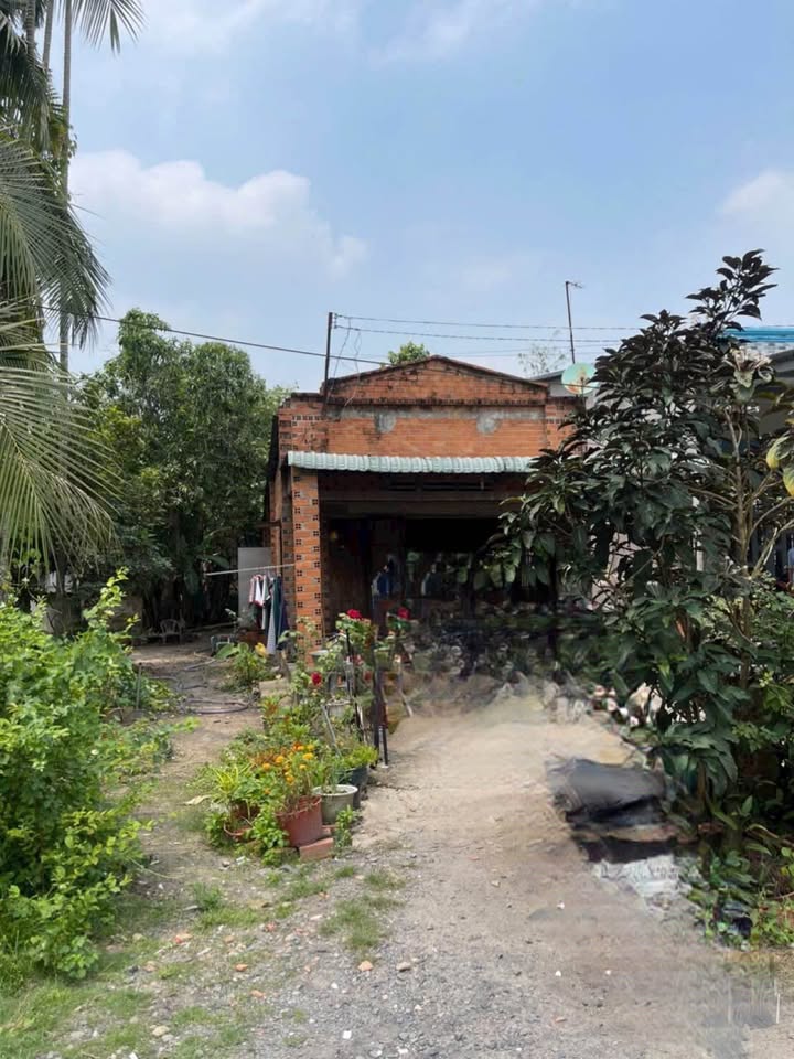 Đất Tặng Nhà 450m² Trảng Bàng, Sổ CLN, Giá 750 Triệu