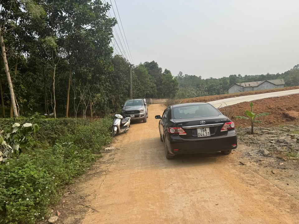 Đất nền Thị xã Phú Thọ 120m² - Sổ đỏ thổ cư, giá chỉ 8xx triệu