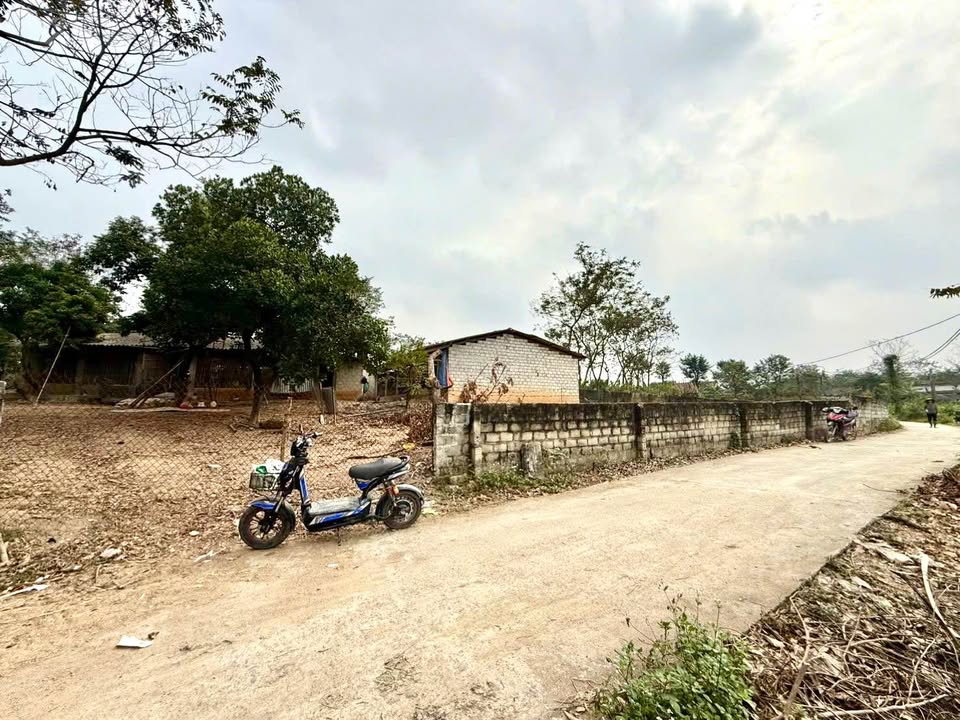 Bán Đất Nền Đại Đình Tam Đảo 100m² - Sổ Đỏ Thổ Cư, Giá Tốt