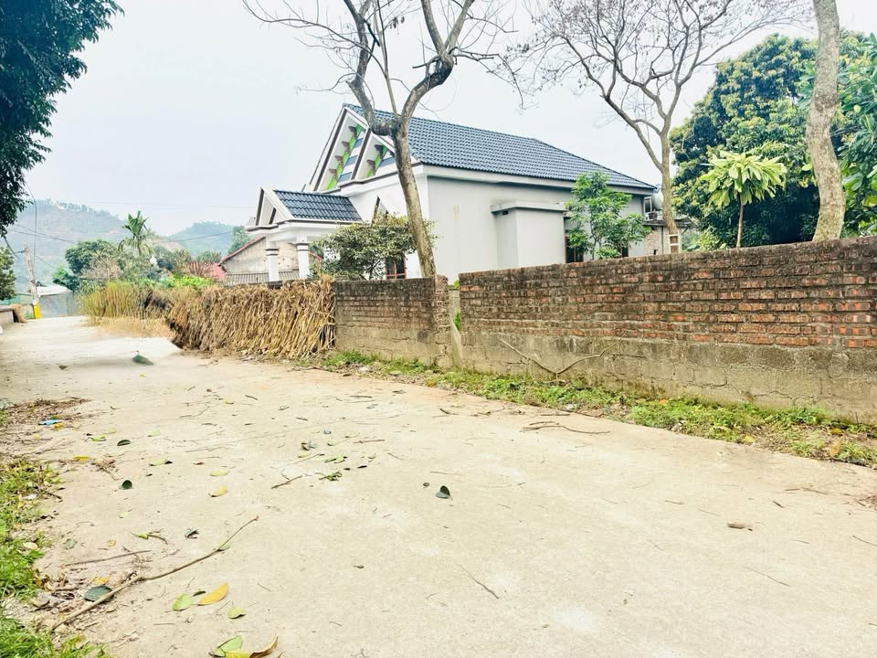 Đất Nền Phú Thọ 309.8m² - Nở Hậu Tốt, Giá 7xx Triệu