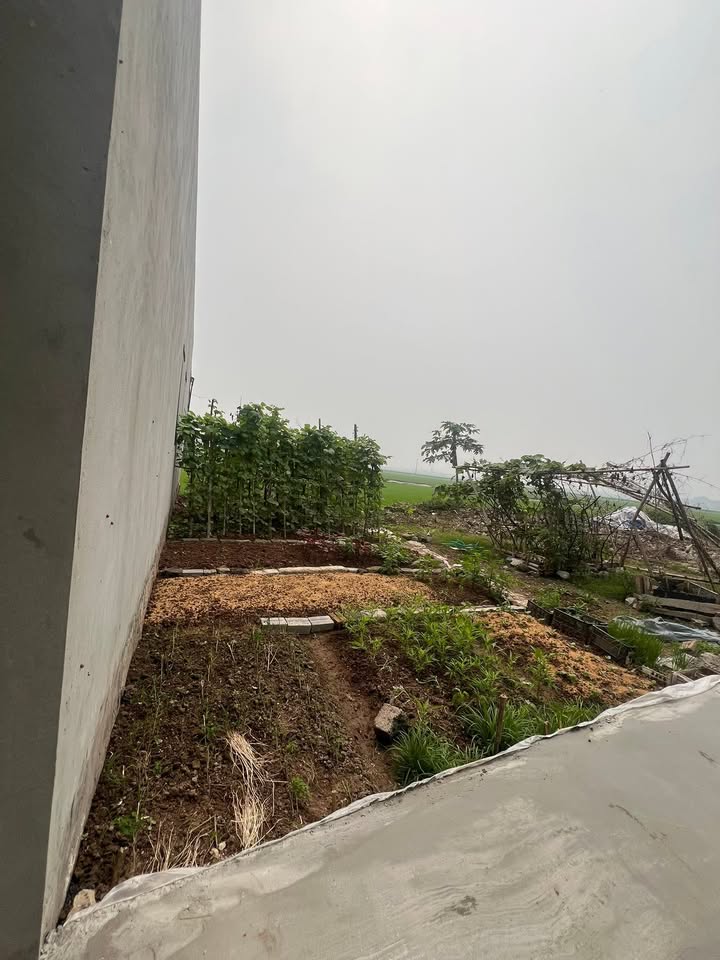 Bán Đất Nền Tổ 7 Lê Hồng Phong, Phủ Lý - 80m², Sổ Đỏ, Giá 1.4 Tỷ