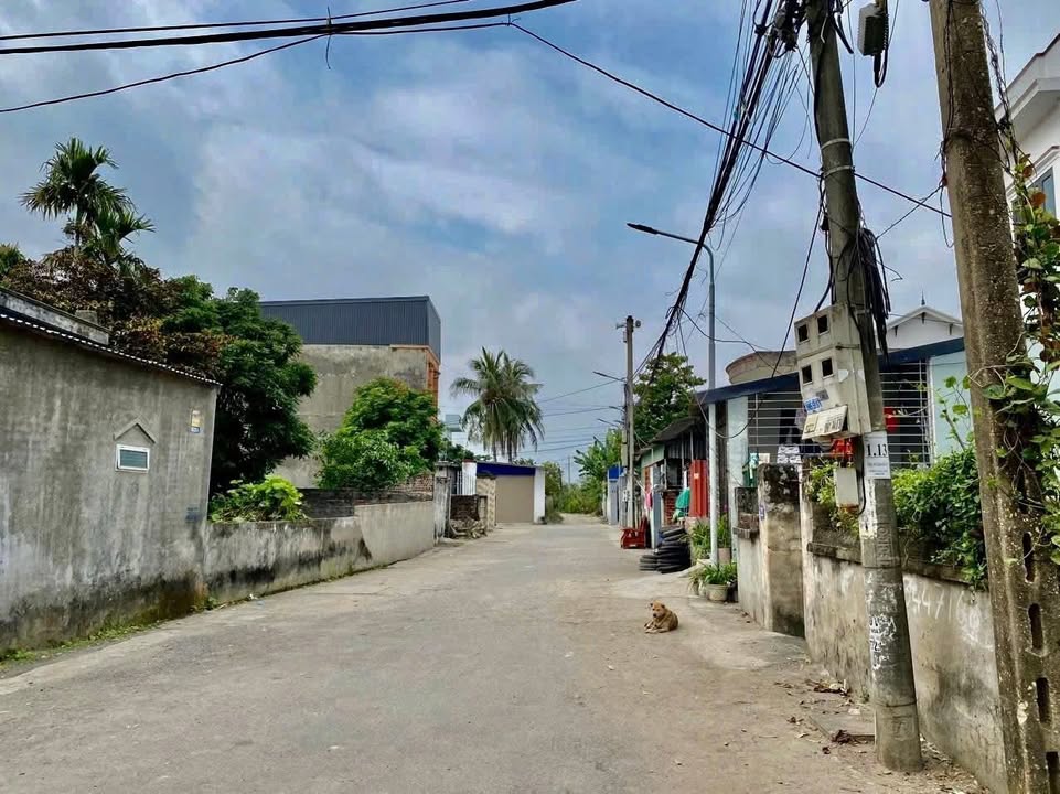 Bán Đất Hưng Đạo - Dương Kinh 101m² Sổ Đỏ Sẵn Sàng - Giá 1.9 Tỷ