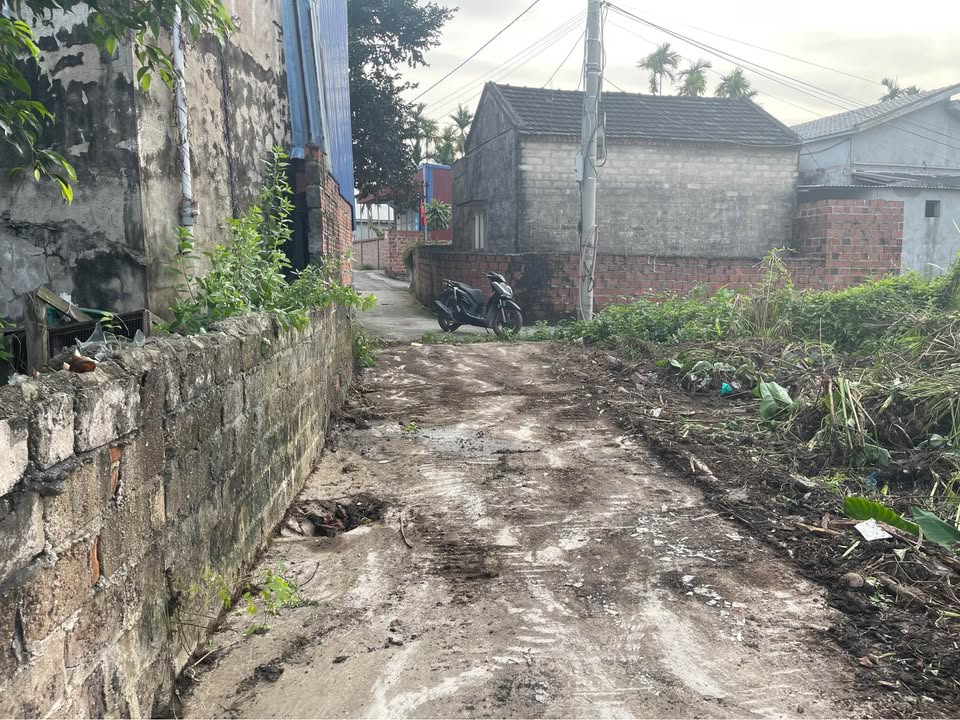 Đất nền Thủy Nguyên - 100m² giá 1.19 tỷ - Ngõ ô tô, gần QL10