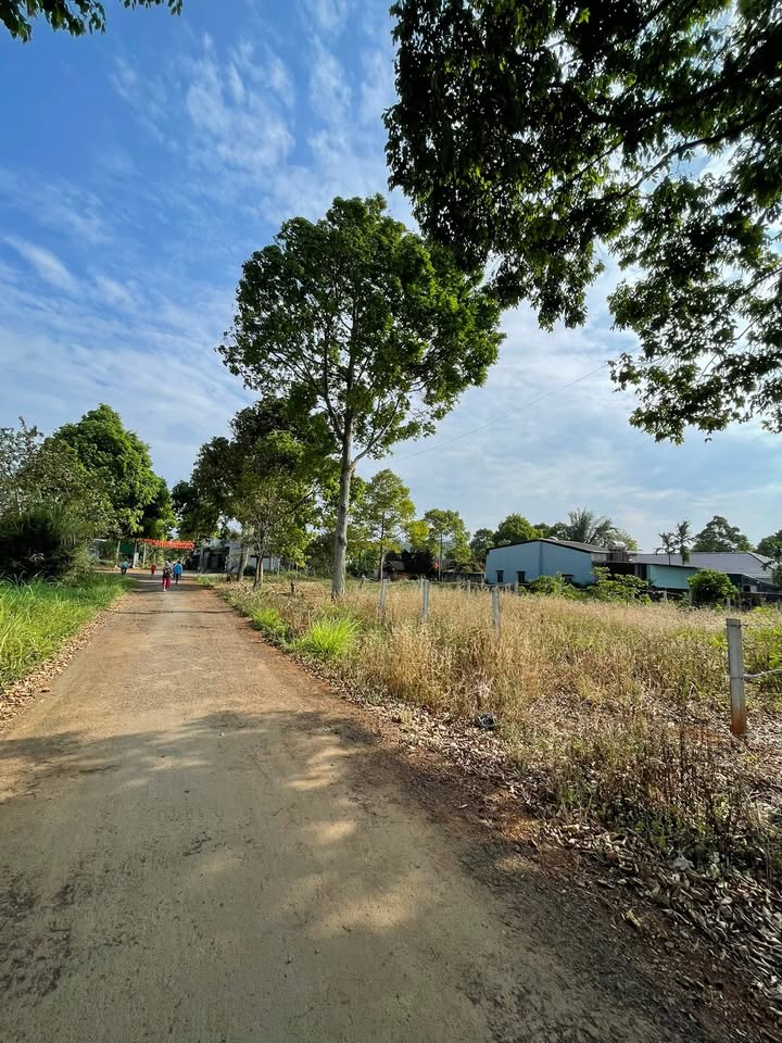 Đất nền vuông vức 291m² Lê Quý Đôn, Buôn Hồ - Giá tốt đầu tư