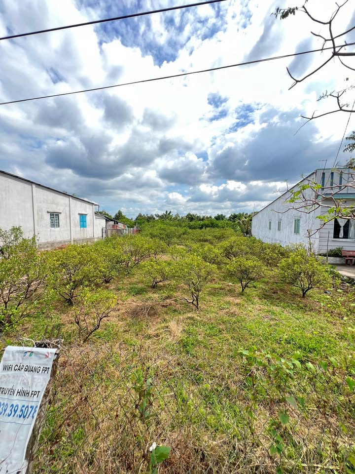 Đất Vườn Cần Thơ 1418m² - Nghỉ Dưỡng Sinh Thái, Sổ Hồng Riêng