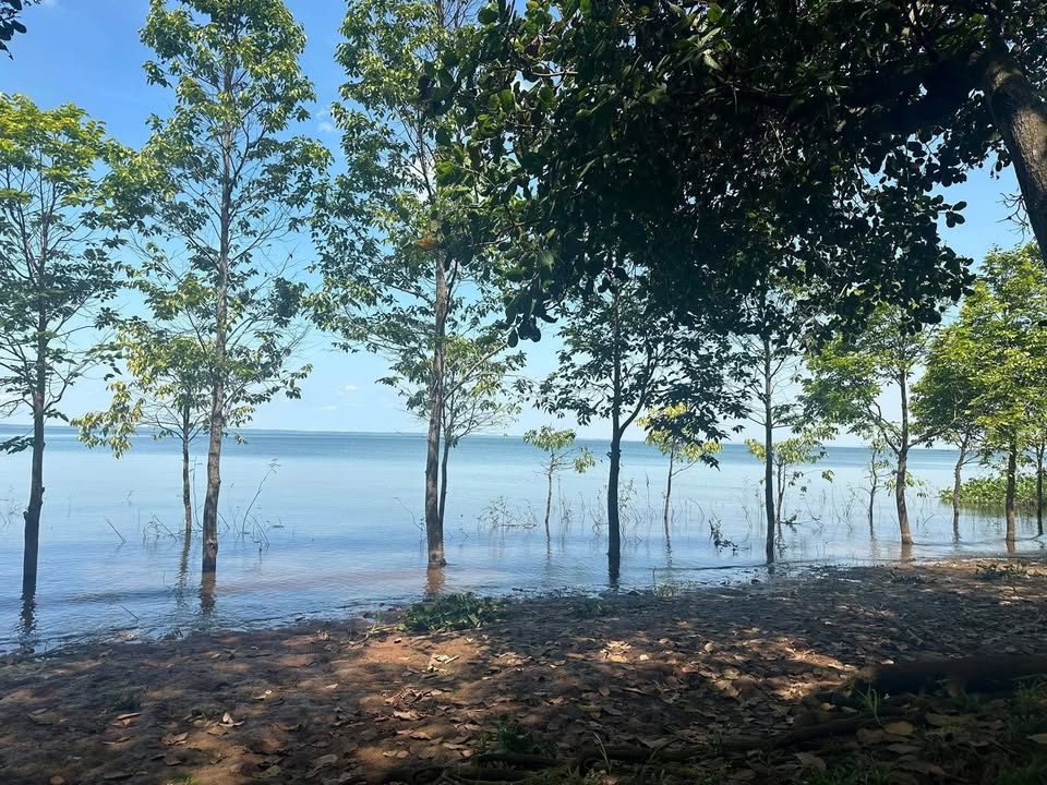 Đất Vườn Sầu Riêng 1000m² Giáp Hồ Trị An - Giá Tốt, View Đẹp