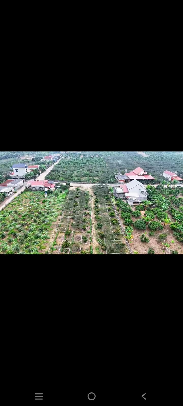 Bán Đất Nền Lục Ngạn 2420m² - Sổ Đỏ, Đường Ô Tô Rộng