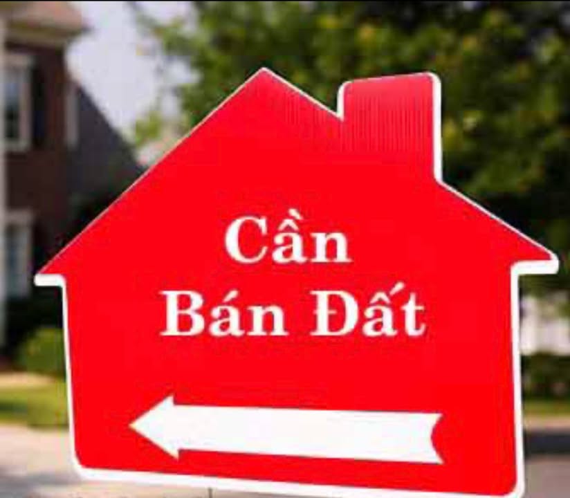 Đất Nền Lương Xá Nam Định - 154m² - Ô tô tận đất - Sổ sẵn