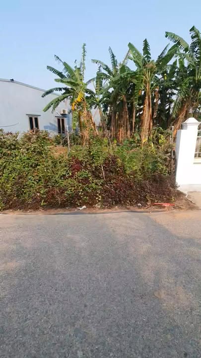 Bán Đất Nghĩa Thắng 102m² Mặt Đường Nhựa, View Sông - Giá Tốt