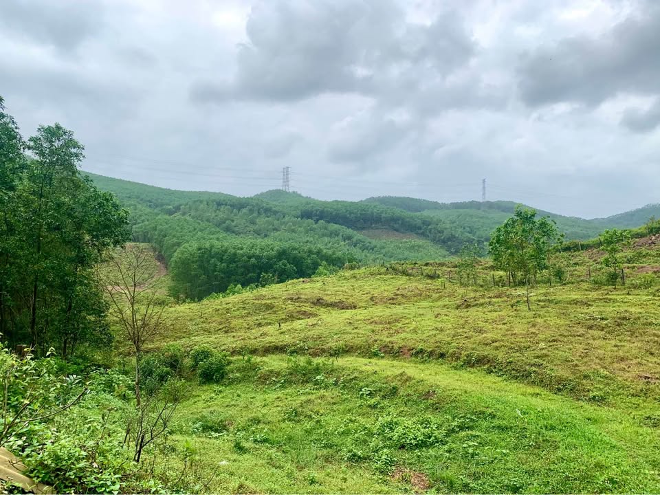 Bán Gấp Đất Rừng Vàng, Đồi Biếc 3.7ha Huế - Tiềm Năng Du Lịch Vượt Trội