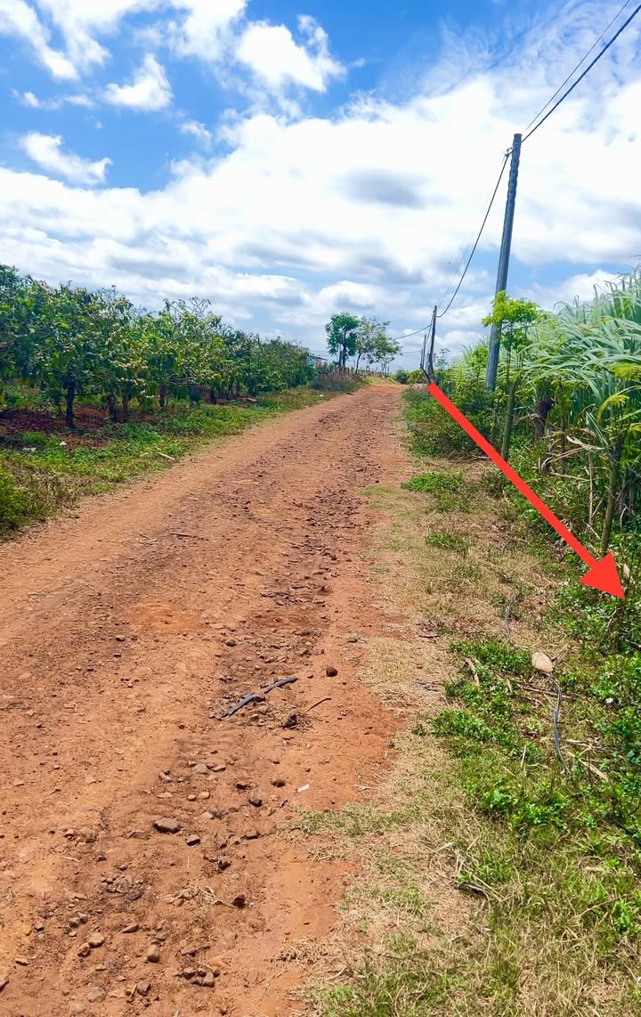 Đất Vườn 2160m² Mặt Tiền 41m - Giá F0 320tr/sào Tại Pleiku