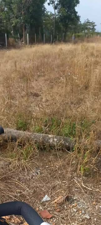 Bán Đất Vườn 2000m² Kim Long, Bà Rịa - Vũng Tàu - Mặt Tiền Bê Tông