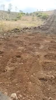 Bán đất Đắk Mil 1440m² - Sẵn sàng trồng cây, giá chỉ 280 triệu