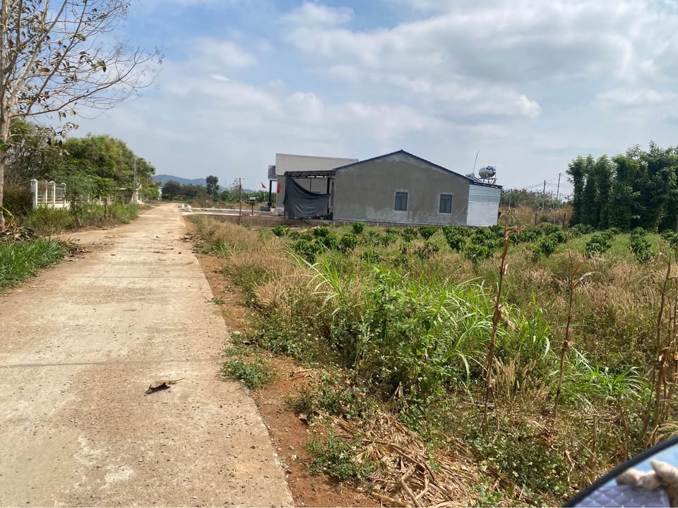 Đất Đắk Lắk 240m² - Sổ Đỏ Vuông Vắn, Giá Ngộp 4.99 Tỷ