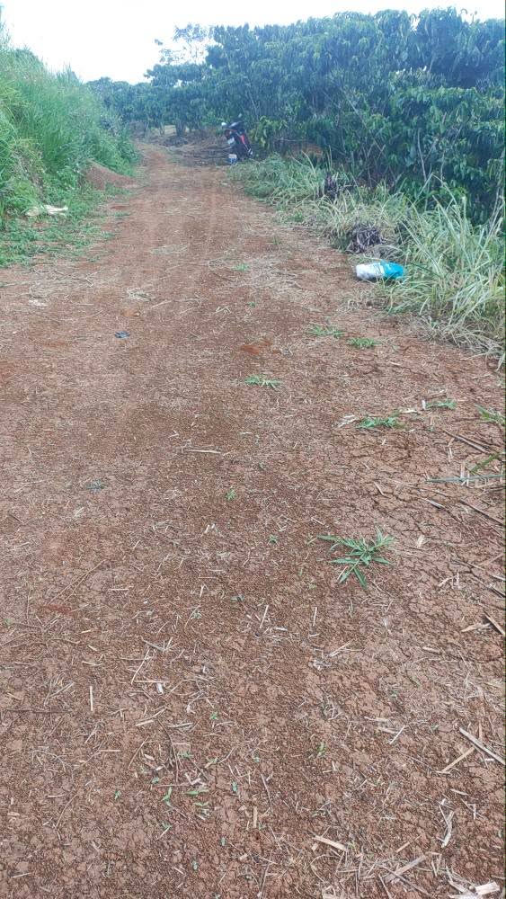 Bán Gấp Vườn Cà Phê 7000m² Mặt Đường Di Linh, Lâm Đồng - Thu Đậm 9