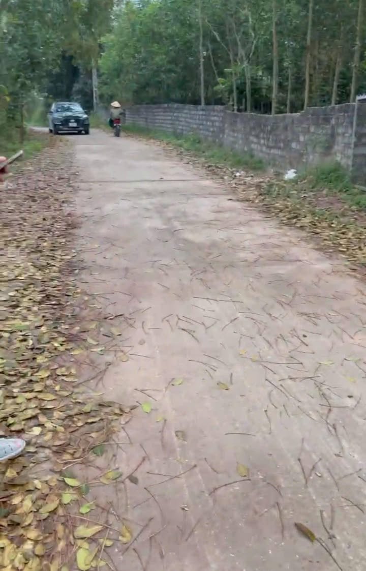 Đất nền Tân Hiệp - Yên Thế: 173m² - 2 ô tô tránh - Giá chỉ 5xx triệu