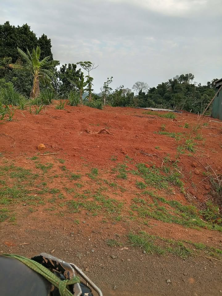 Đất nền Tuy Đức Đắk Nông 400m² giá chỉ hơn 100 triệu - Sổ đỏ sẵn sàng