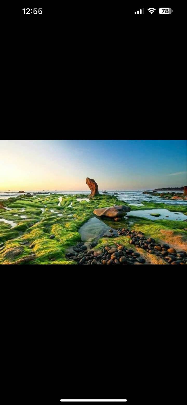 Đất Vàng 300m² - Kinh Doanh Du Lịch Chùa Cổ Thạch - Sổ Hồng Riêng