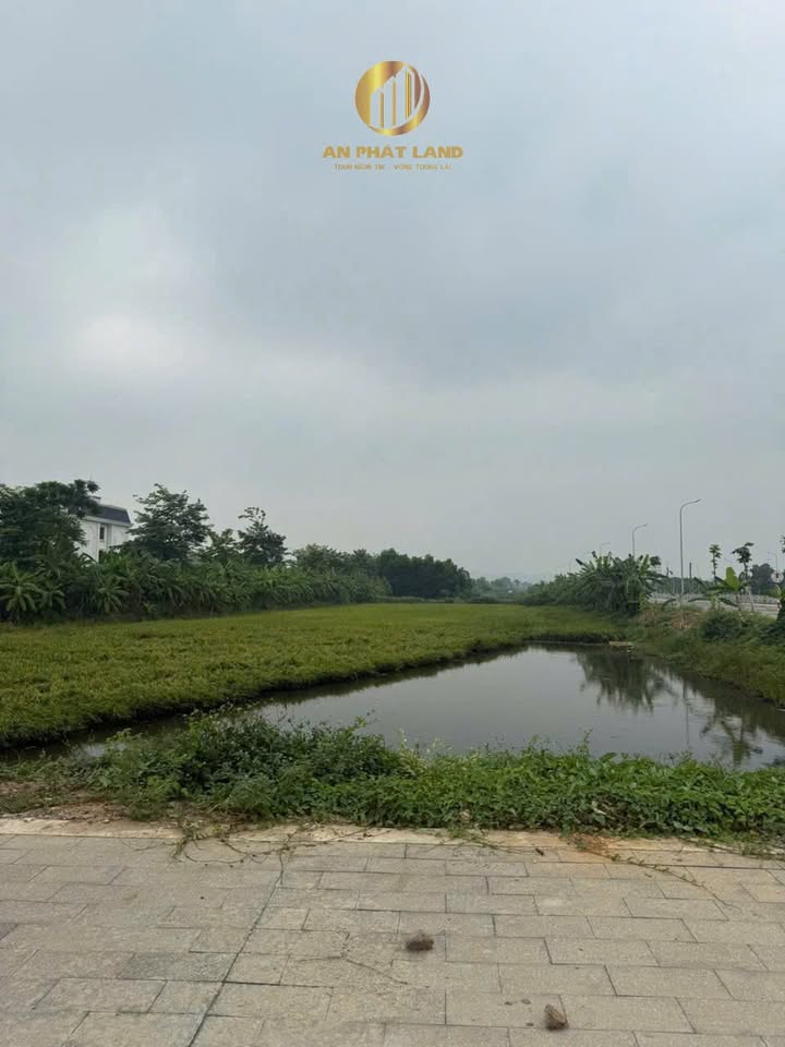 Đất Vàng Mặt Tiền Phạm Hùng Ninh Bình - 120m² Hướng Bắc - 15 Tỷ