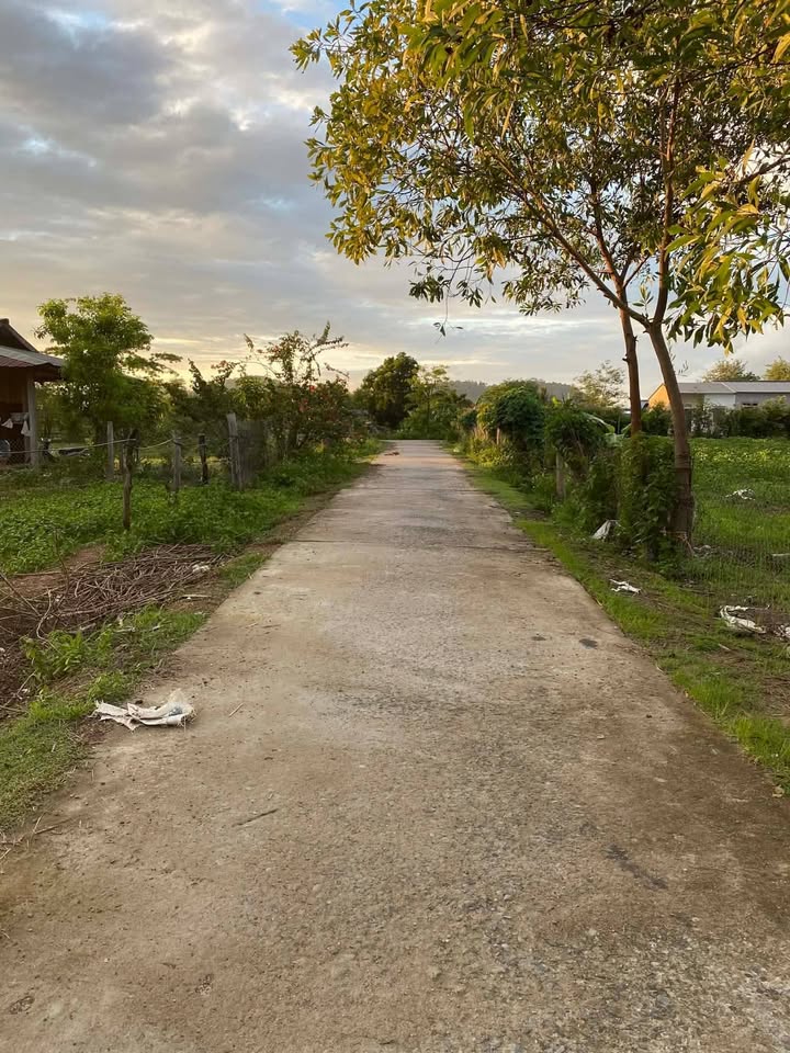 Đất nền 520m² H. Krông Bông - Giá tốt, Sẵn sổ