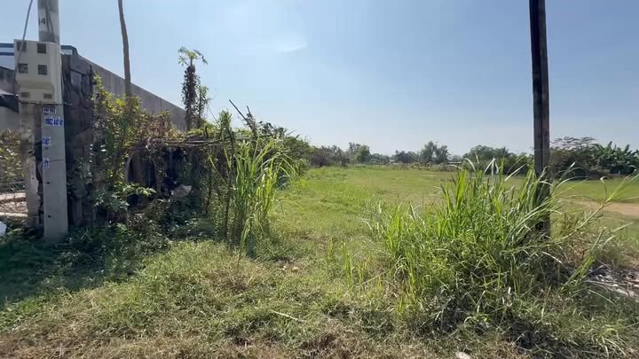 Đất Nền Đức Hòa Long An 2000m² Full Thổ Cư - Giá 11 Tỷ