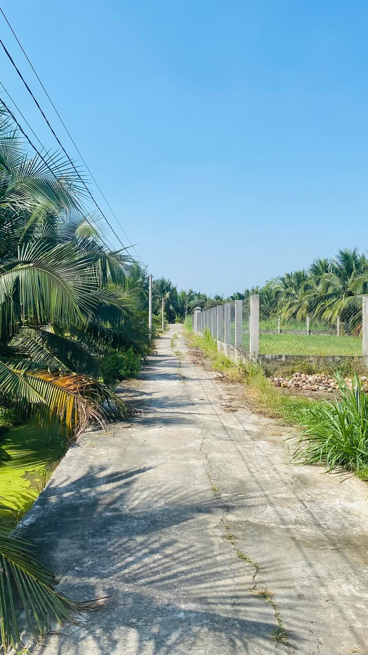 Bán Gấp Đất Vườn 1.277m² Xã Hữu Định, Châu Thành - Giá 999 Triệu