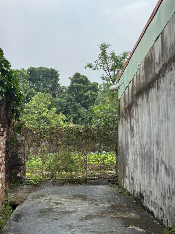 Đất thổ cư 265.9m² Thái Thụy - Giá dưới 1 tỷ, ô tô vào tận nơi