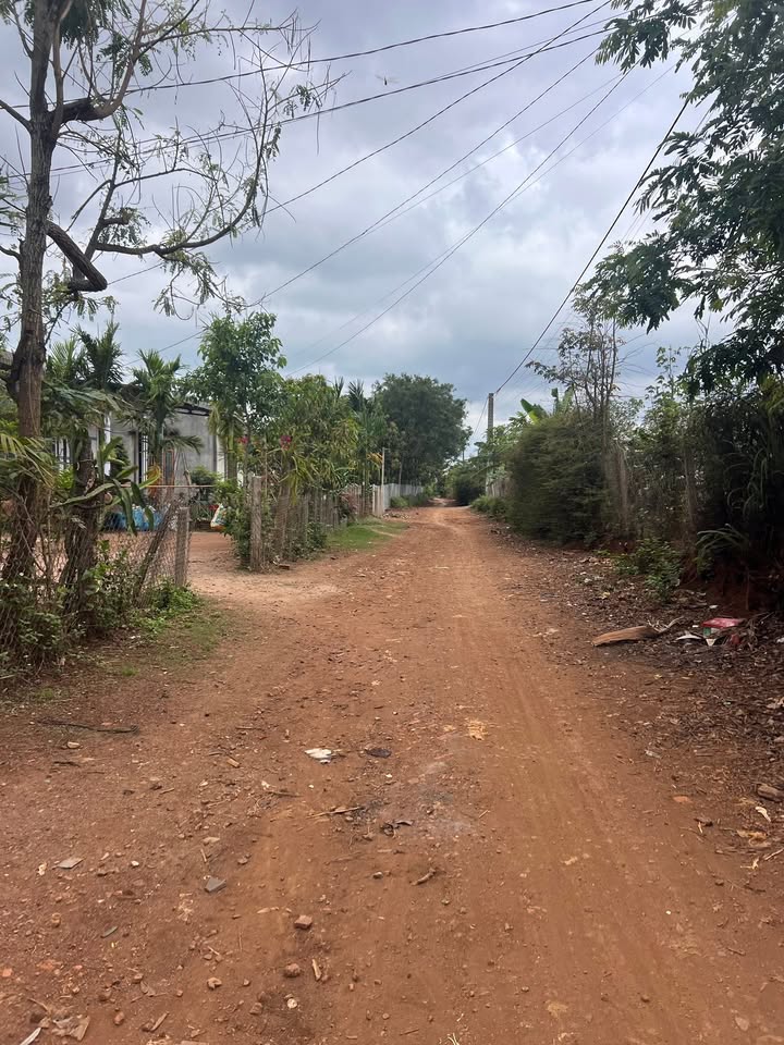 Đất nền 1128m² tại xã Krông Ana, Đăk Lăk - Giá hấp dẫn chỉ 95.88 tỷ!