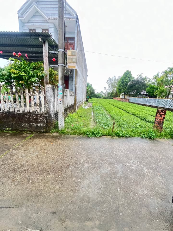 Bán đất Hoà Quý Ngũ Hành Sơn 100m² - Sổ đỏ sẵn sàng, giá từ 2 tỷ