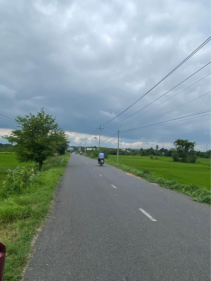 Bán đất 141m² Thuận Minh, Bình Thuận - Sổ hồng riêng, đường nhựa