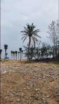 Đất Nền 120m² Sổ Đỏ Thổ Cư Cẩm An - Hội An, Giá 1 Tỷ xx