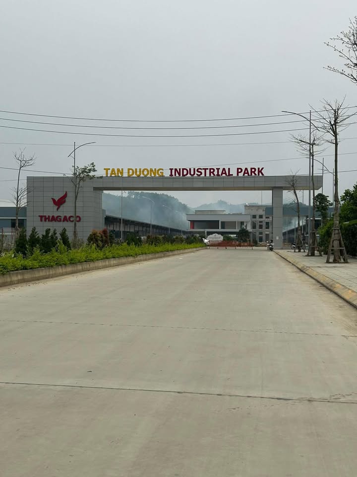 Đất Nền Tân Dương Định Hóa 240m² Thổ Cư - Kinh Doanh Sinh Lời