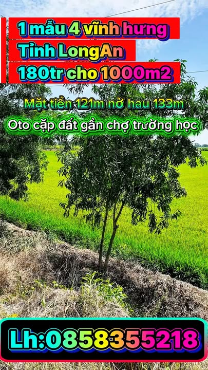 Bán Gấp Đất Vĩnh Hưng Long An 10.000m² Mặt Tiền Ô Tô - 1.8 Tỷ