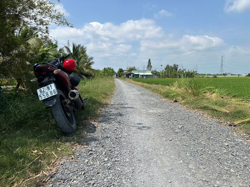 Đất Vườn Long An 10000m² - Gần Ngã Tư Lạc Tấn, Giá Tốt