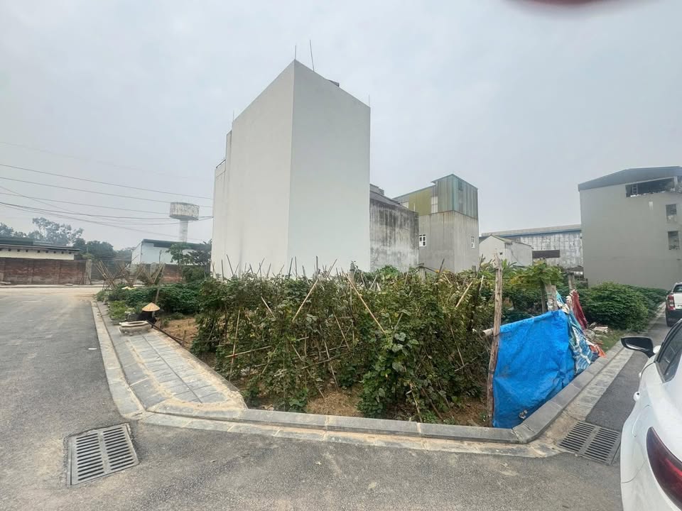 Đất Nền Hai Mặt Tiền 88.7m² Vĩnh Ngọc, Đông Anh - Giá Thỏa Thuận