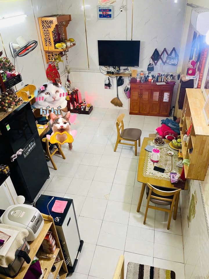 Nhà Sổ Chung Phường Tăng Nhơn Phú B, TP. Thủ Đức - 48m², 2PN Giá 1.55 Tỷ