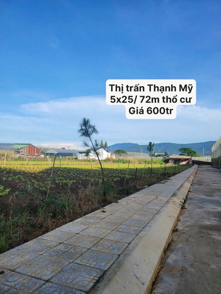 Đất Nền Thạnh Mỹ Đơn Dương 125m² - Sổ Đỏ Vuông Vức, Giá Đầu Tư 600 Triệu