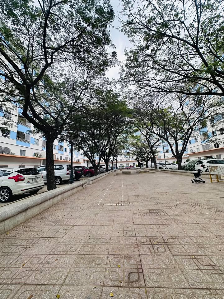 Cho thuê căn hộ CT6 Vĩnh Điềm Trung 58m² - Giá chỉ 6 triệu