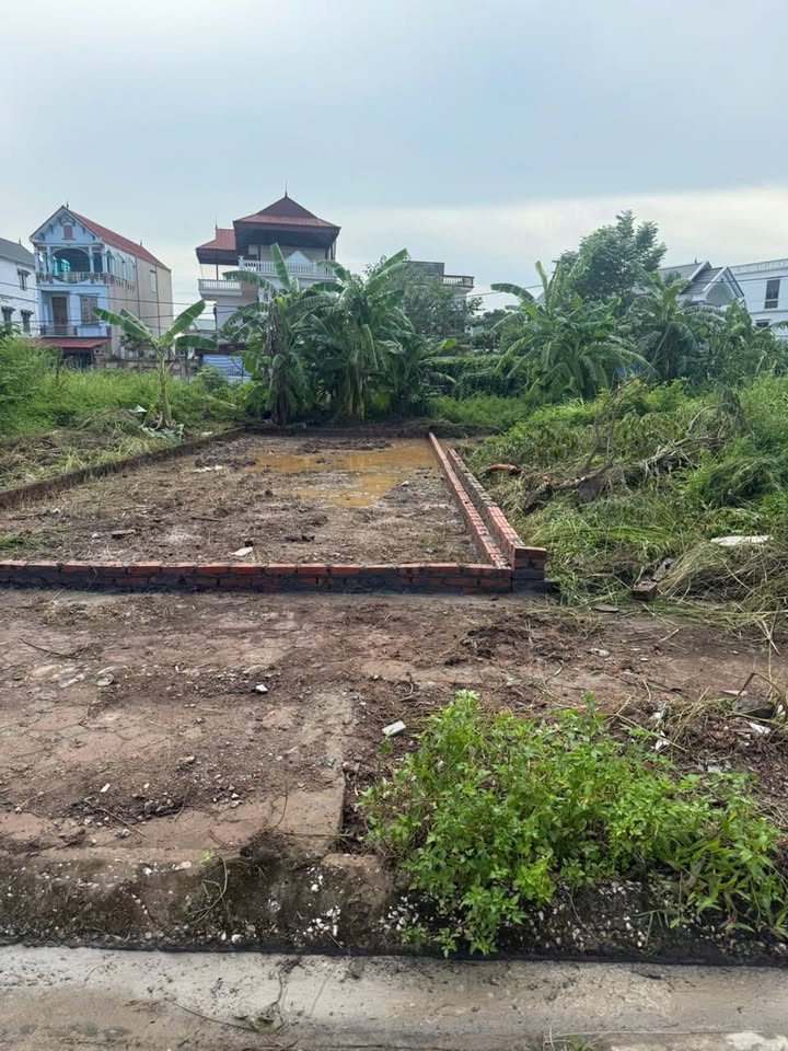 Bán đất 75m² Đấu Giá Đồng Bụt - Quốc Oai, Hà Nội - Gần Viện Sản & 3 Đại Học Lớn