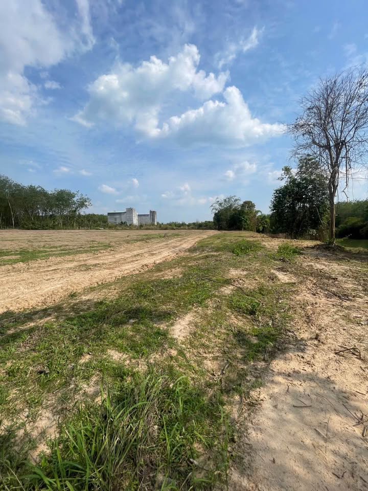 Đất Nền Dầu Tiếng Bình Dương - 1280m² View Sông Sài Gòn Giá 900 Triệu