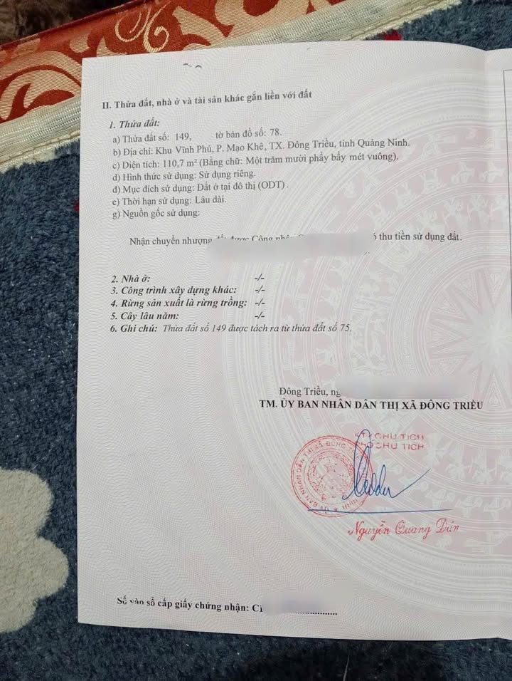 Đất Kinh Doanh Mặt Tiền 5m Trục Chính Vĩnh Phú, Mạo Khê - 111m² Sổ Đỏ