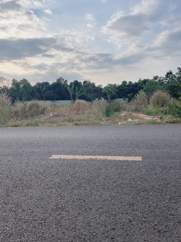 Đất Nền Mặt Tiền Kinh Doanh Trục Chính Hưng Lộc, Đồng Nai - 200m² Sổ Riêng